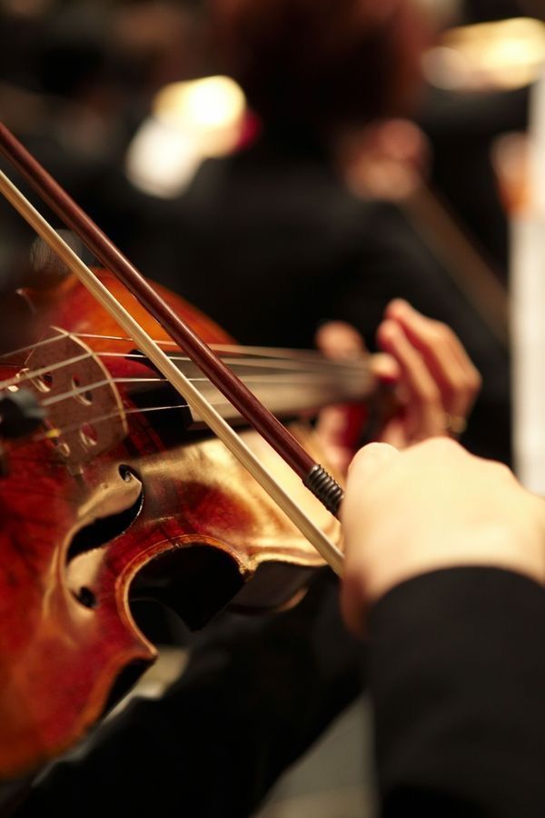 Khóa Học Violin Tại MQ Music