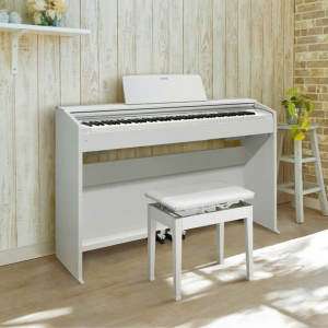 Casio PX2000GP