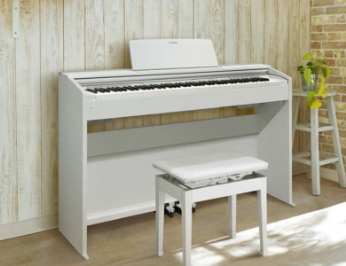 Casio PX2000GP